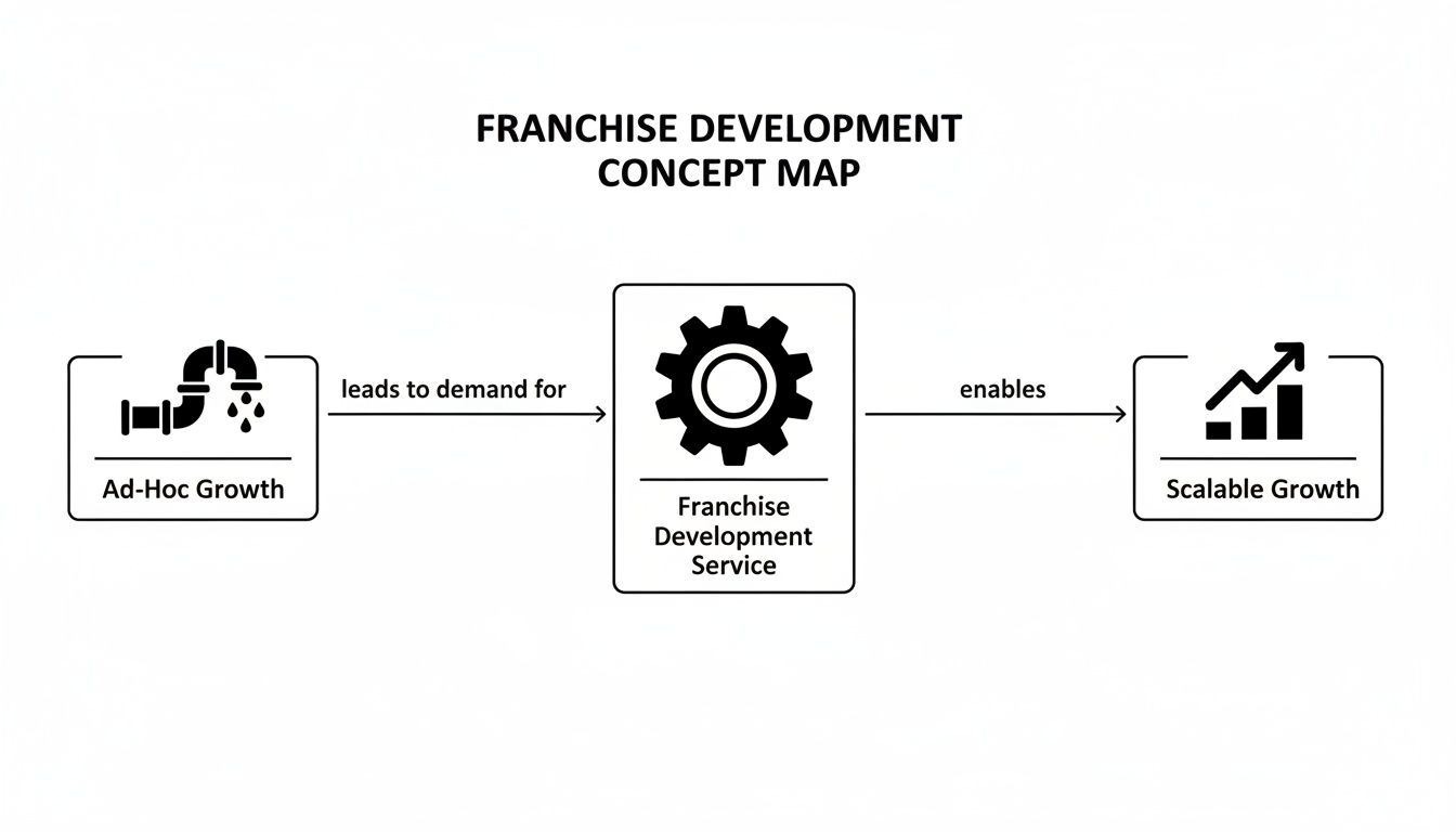A High-Growth Guide to Franchise Development Services